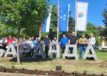 Mesni odbor Baranda: Organizovana akcija sadnje cveća u centru Barande