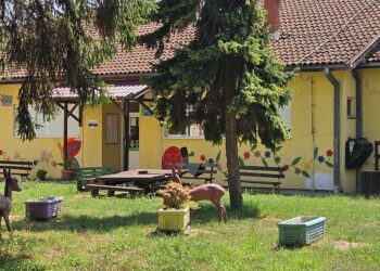 PU „Bambi“: Lista primljene dece na oglasnim tablama u Opovu i Sefkerinu