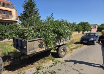 JP „Mladost“ Opovo sprovelo akciju uklanjanja divlje vegetacije u Sefkerinu