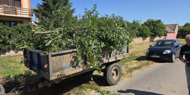 JP „Mladost“ Opovo sprovelo akciju uklanjanja divlje vegetacije u Sefkerinu