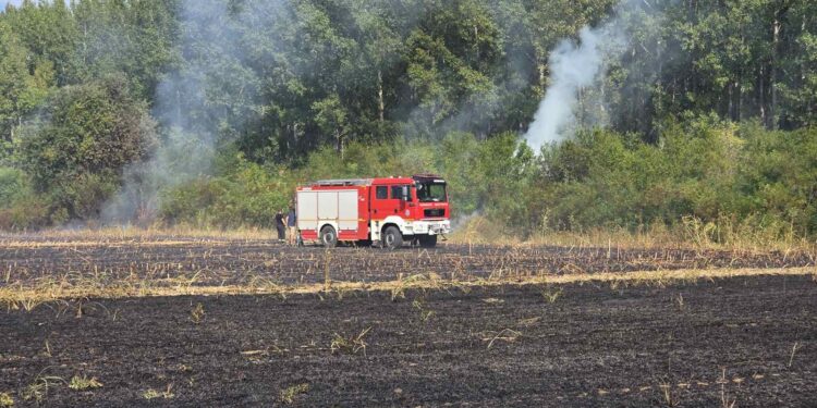 Požari bukte u opovačkom ataru – apel građanima da ne pale vatru na otvorenom
