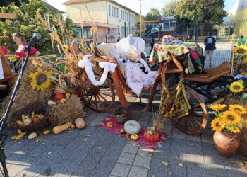 Uspeh udruženja iz opštine Opovo na Festivalu jabuka u Crepaji